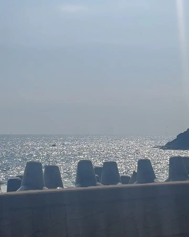 (2022.07.08 ~ 2022.07.10)

우리나라, 울릉도